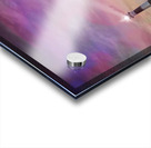 The Keeper Acrylic print