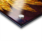 Icarus left wing Acrylic print