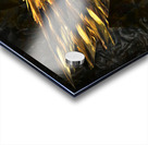 Vision Acrylic print