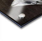 Adrift Acrylic print