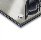 Prevail Acrylic print