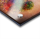 Sprung Acrylic print