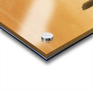 Parched Acrylic print