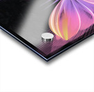 Softly Acrylic print