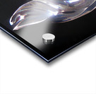 Sterling Acrylic print