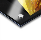 Cheddar Acrylic print