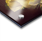 Flourish Acrylic print