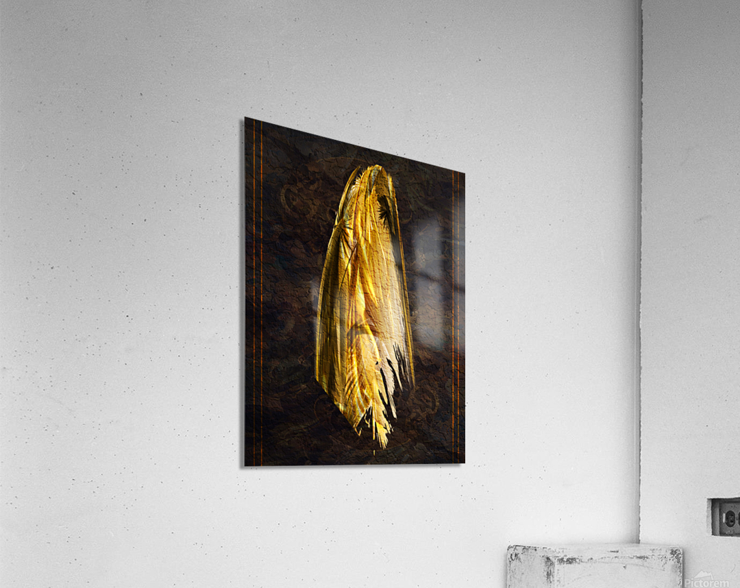 Apparition Acrylic Print