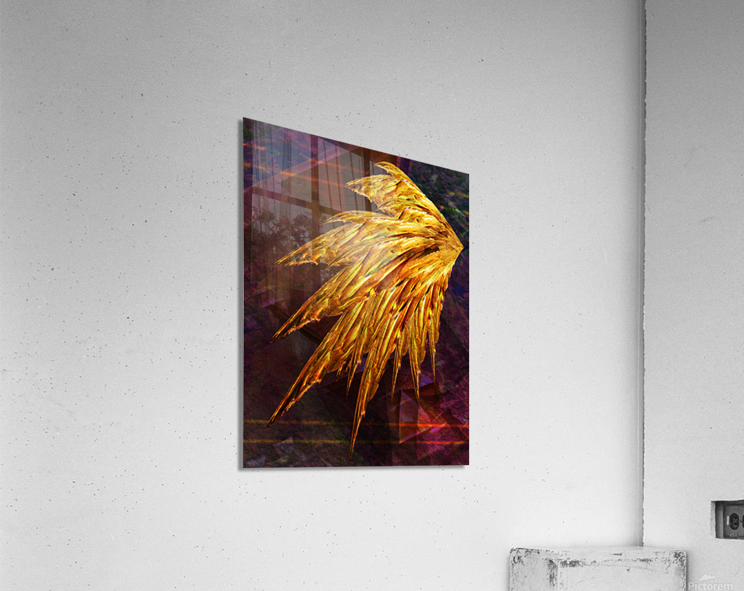 Icarus left wing Acrylic Print