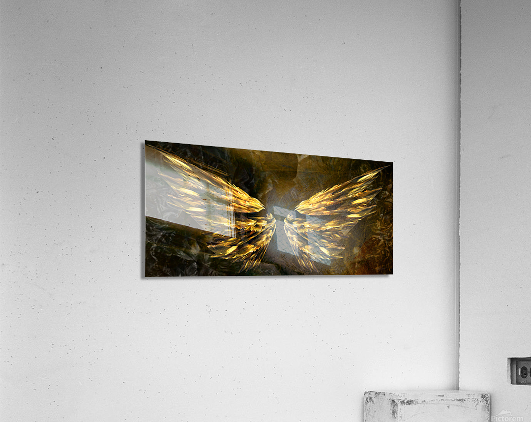 Vision Acrylic Print