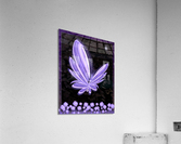 Lavender  Impression acrylique