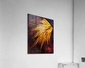 Icarus left wing  Acrylic Print