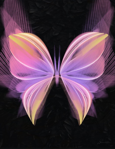 Softly by Nathan Lenart