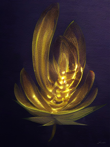 Bloominessent by Nathan Lenart