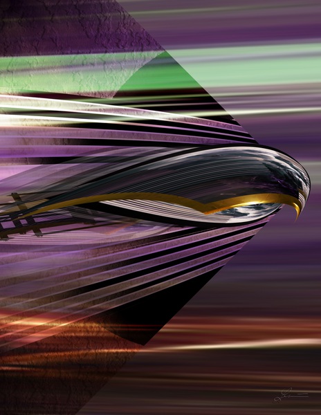 Mach kingbird by Nathan Lenart