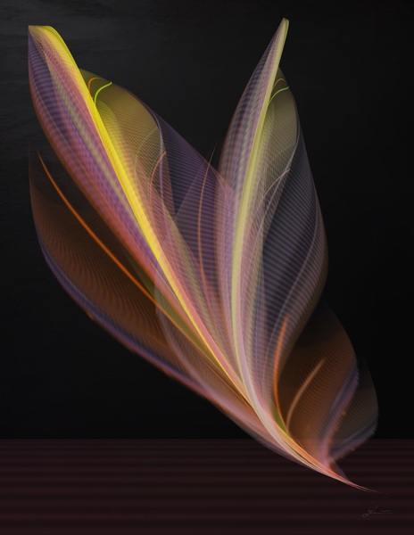 Gently by Nathan Lenart