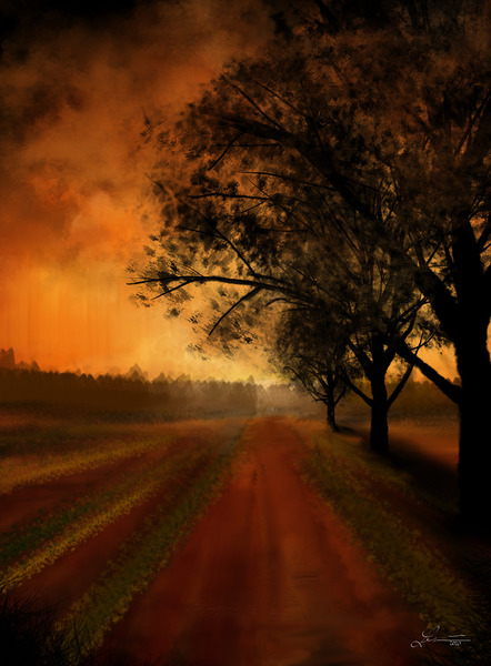 Grove by Nathan Lenart