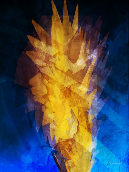 Taste by Nathan Lenart