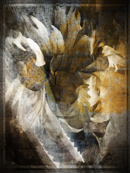 Asia by Nathan Lenart