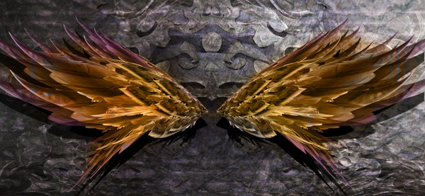 Zenith by Nathan Lenart