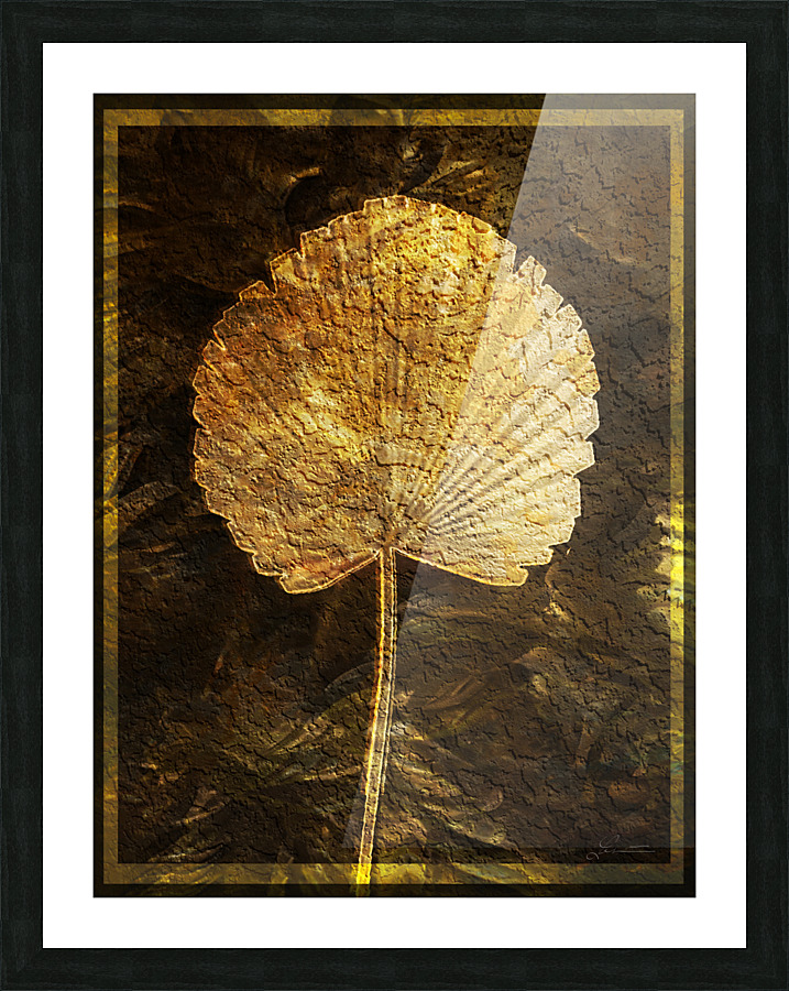 Palm Picture Frame print