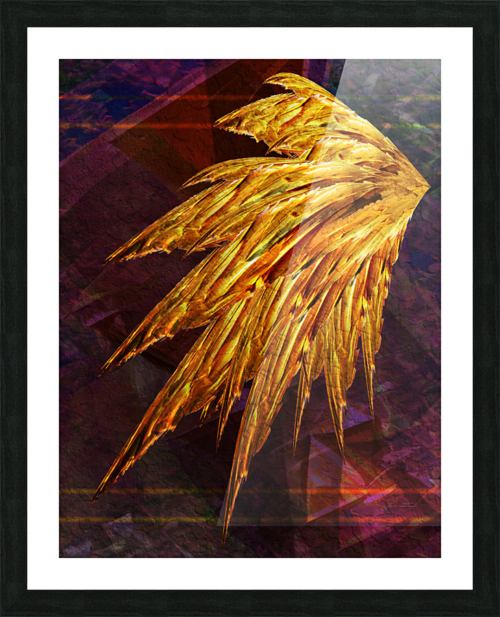 Icarus left wing  Framed Print Print