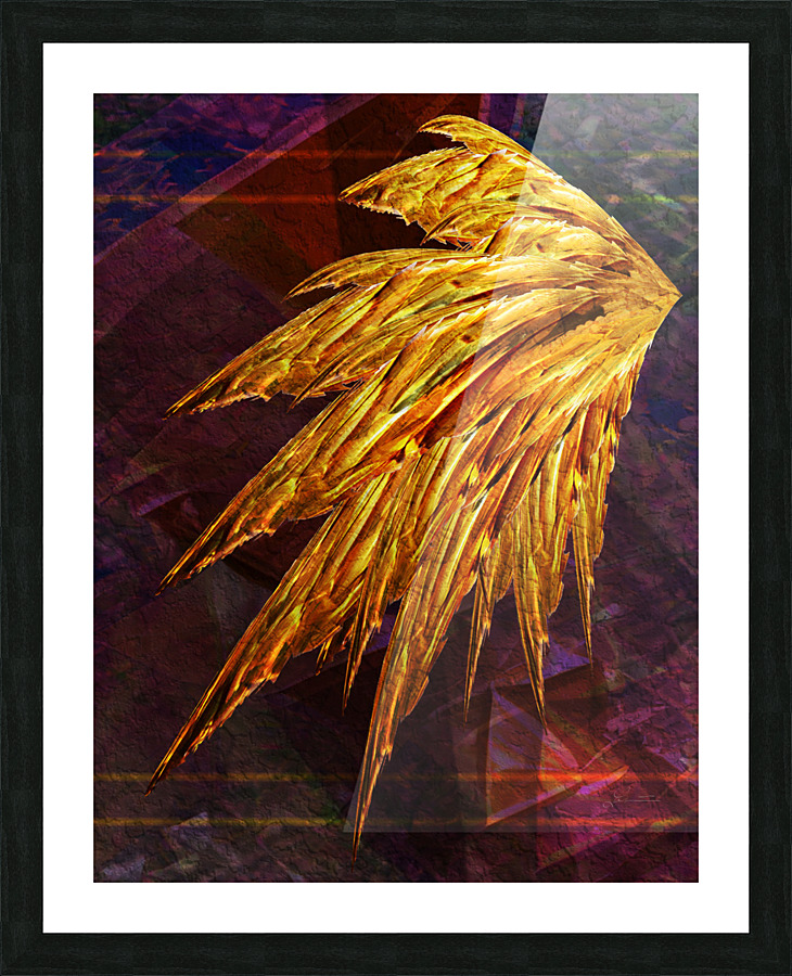 Icarus left wing Picture Frame print