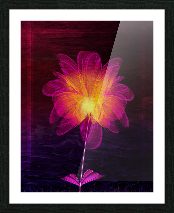 Nelumbo Picture Frame print