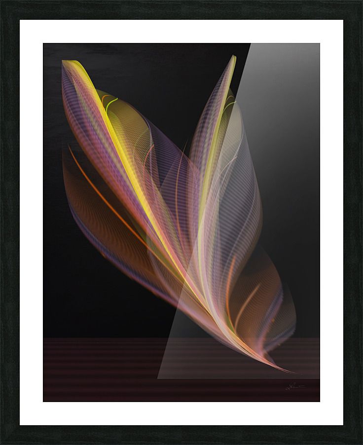 Gently Picture Frame print