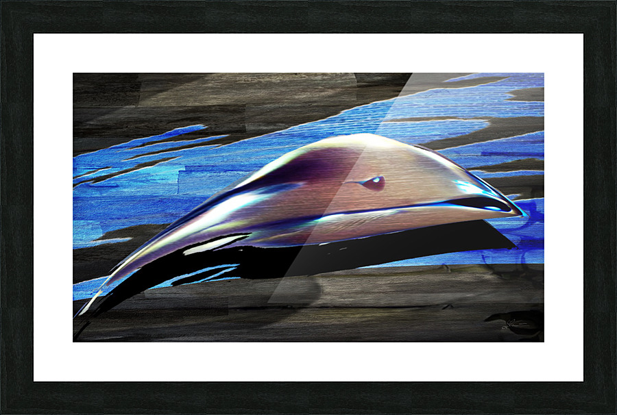 Swim Picture Frame print