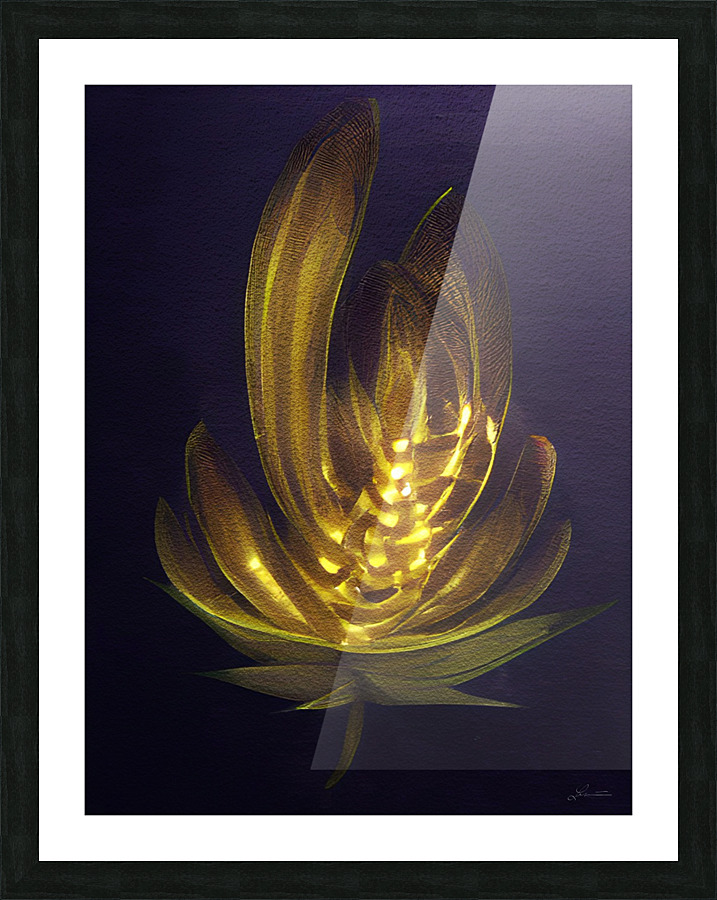 Bloominessent  Framed Print Print